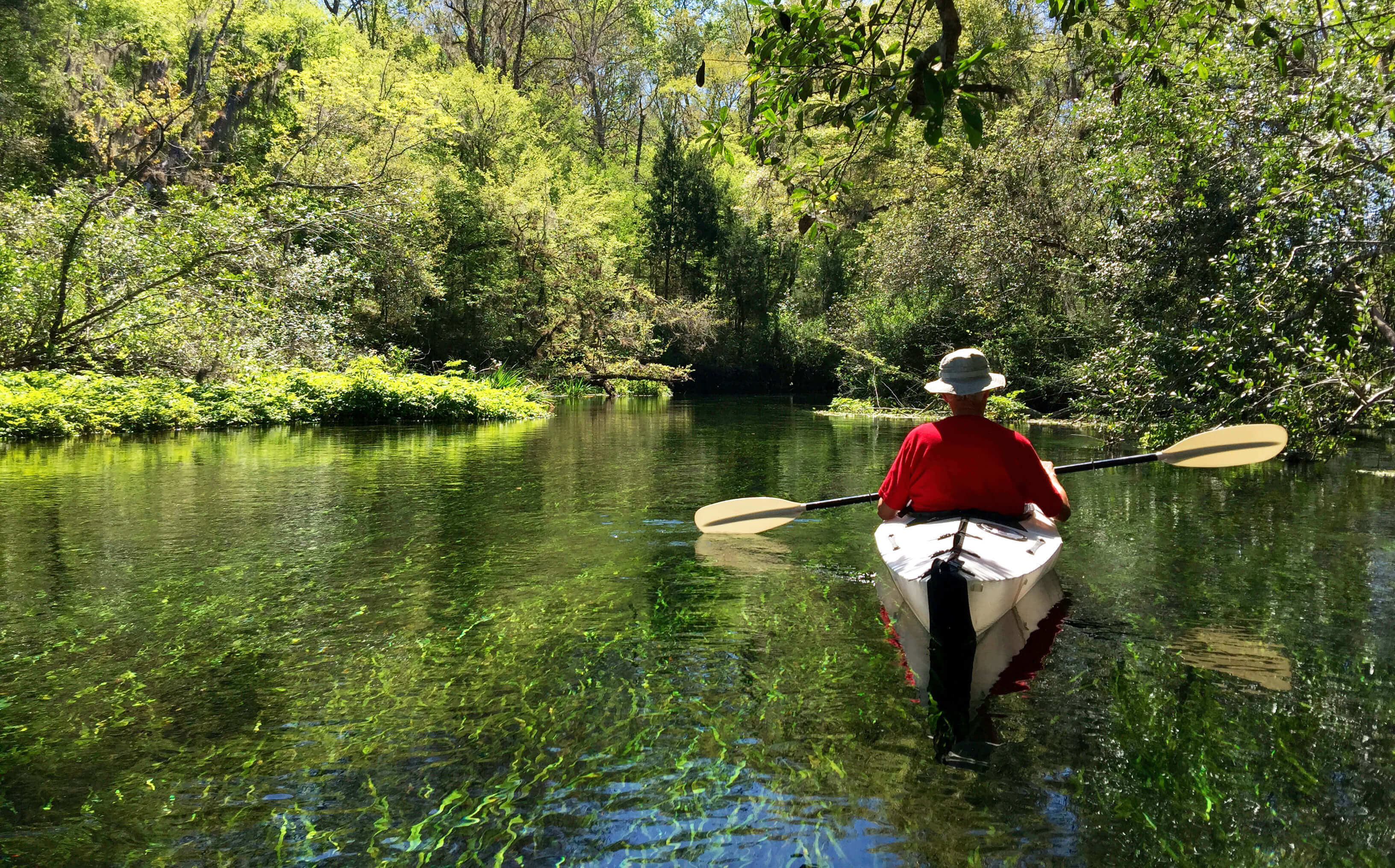 Poole Realty Real Estate Agents and Brokers Live Oak Florida